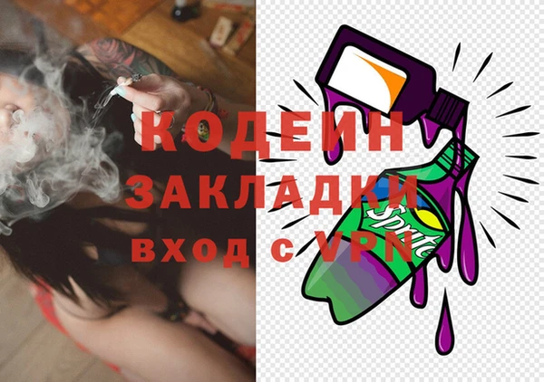 шишки Ладушкин