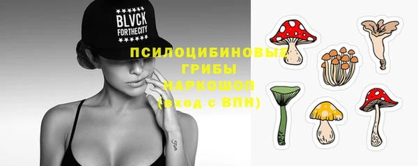 крисы Кукмор