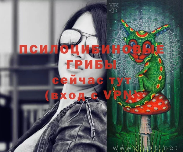 мяу мяу мука Кулебаки
