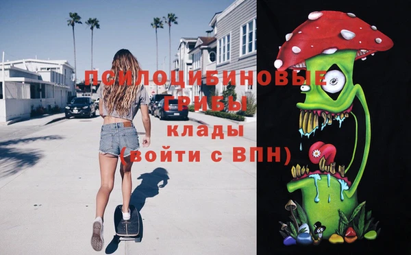 шишки Ладушкин
