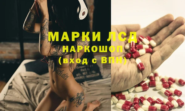 крисы Кукмор