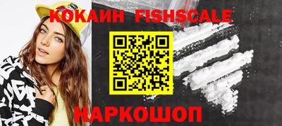 a pvp Новозыбков