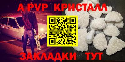 a pvp Новозыбков