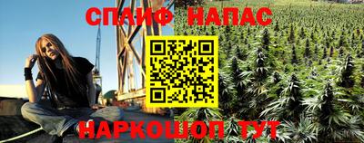 a pvp Новозыбков