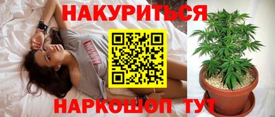 apvp Новодвинск