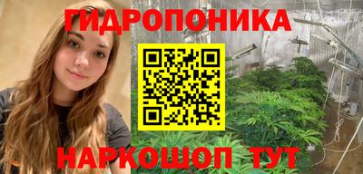 a pvp Новозыбков