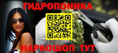 apvp Новодвинск