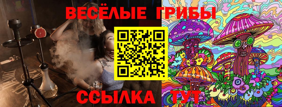 Галлюциногенные грибы Magic Shrooms Сланцы