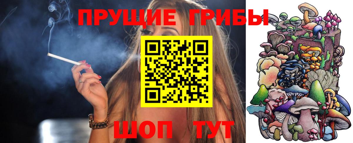 закладка  Галлюциногенные грибы MAGIC MUSHROOMS  Вход с VPN  Сланцы 
